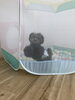 初めてのボールプールは出口がわからなかったよ「新入園児ちゃん　♪( ´θ｀)」