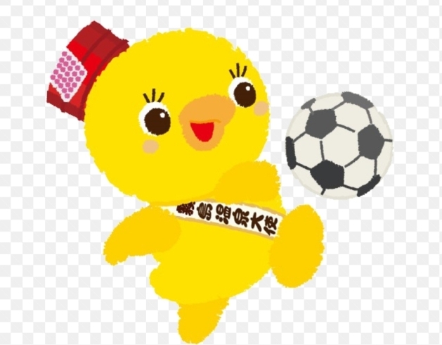 サッカー日本代表歴史的勝利12/2「がんばれ日本！」