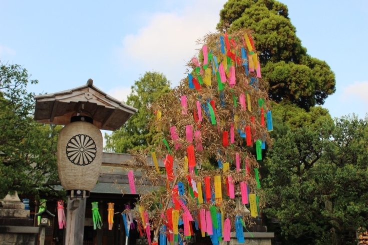 参道の“七夕かざり”「〝七夕まつり〟高岡の夏の風物詩」