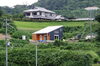 1.5階建ての自然派住宅完成見学会「8月28日・29日 OPEN HOUSE 完成見学会予告」