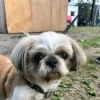 さくらちゃん　