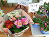「南魚沼の花屋、フローリストたかの。オープン時間のお知らせと、おすすめの商品。」