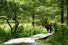 「入笠山トレッキングの魅力」