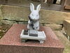 「出雲大社で宇宙を感じる(｡•ㅅ•｡)斐川町　仏壇」