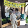 「道の駅木曽福島『高原とうもろこし』大量入荷は本日最終日となります！」
