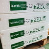 「茨城県産の「れんこん」入荷が始まってますよ～♬」