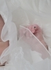 「New born photos 」