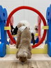 こなつちゃんオヤツ目指してジャンプ「ましゅまろ幼稚園🐾」