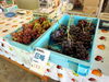 「食欲の秋！秋といえばぶどう🍇✨関川村にある荒川峡ぶどう園さんをご紹介💁‍♀️【まいぷれ村上・地域情報発信中！】」