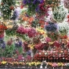 松江フォーゲルパーク