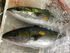 「魚魚市場鮮魚コーナーおすすめは「アジ」です♪」