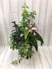 寄せ植え　観葉植物「♬　Purple＆Blue　♬」