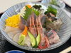 ちょうどいい海鮮丼「酒屋がはじめる本気の海鮮丼屋！「酒市水産部」がいよいよ明日4月18日にグランドオープン」