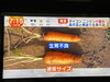 人参が雨不足でなかなか肥大せず。「☆『めざましテレビ』、『イット！』無事にオンエア［テレビ］」