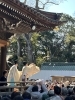 「三島大社の節分祭に行ってきた！」
