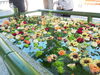 水面に映る秋の空もキレイですね。「秋の花手水スタートです。」
