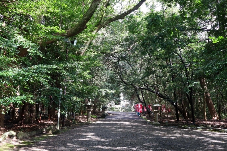 「【二社一体の由緒ある神社「日前神宮」「國懸神宮」】【WAKAYAMATIME】【今週のおすすめ記事】」