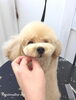 「冬のオプションキャンペーン　^ - ^」