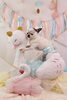 カッコイイ～　(* ´艸｀)「Anniversary photo　(^O^)／」