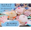 「ビーチクリーン＆海の生き物観察＆ウニランプ作り　開催します！」