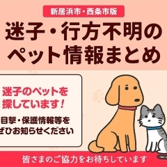 【新居浜市・西条市版】迷子・行方不明のペット情報まとめ