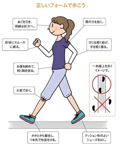 力を抜いて、綺麗な姿勢で歩く事を心掛けましょう。「ＷＡＬＫＩＮＧ　～歩こう～」