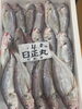 石持ち「鮮魚入荷致しました」