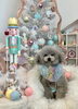 こたくん「MerryXmas 🎄　はじめまして」