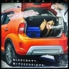 「菊地のお車紹介　イグニス」