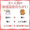 人間の体感と違うから気をつけよう「犬の熱中症対策」