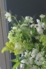 ニゲラの横顔☺「白とグリーンのお花たち　戸塚安行の花屋フランテッセ」
