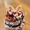 うさぎソフト