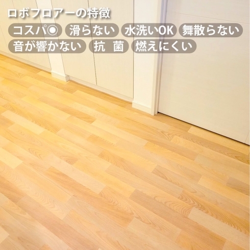 犬猫のための滑らない床で健康寿命を伸ばそう 抗菌 耐水 防音 耐火のコスパ最強の床 合同会社りぶふるのニュース まいぷれ 江戸川区 犬猫のための滑らない床で健康寿命を伸ばそう 抗菌 耐水 防音 耐火のコスパ最強の床 合同会社りぶふるのニュース まいぷれ 江戸川区