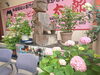 「デイサービス金太郎のサボテンの花が咲いた～(^○^)‼️。」