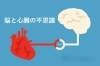 脳と心臓の為に定期検診や検査も忘れずに…。「人にとってとても大切臓器「脳と心臓」　　　　　どの様な関係があるのでしょうか？」