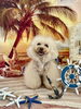まっちゃちゃん「サンセットビーチ🏖️」