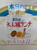 「今日の手作り弁当は、童心に帰る「大人様ランチ」です」