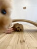 はぴちゃん　どアップで写ってるのは誰？😆「ましゅまろ幼稚園🐾」
