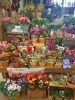 「【はなやHOK皆生店】新しい鉢を入荷しました！」