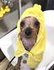 ころんくんパック中　＾＾「はじめまして^o^」