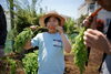 とれたて！甘い！美味しい！「このお野菜が食べられます！親子収穫体験の報告」