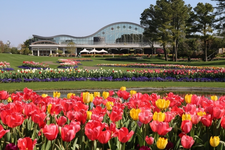 「フローランテ宮崎」四季折々の花と共に多彩なイベントを開催する植物公園