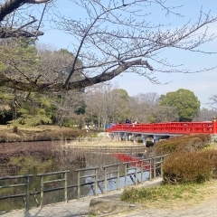 愛犬と一緒に行ってみた　～岩槻城址公園～