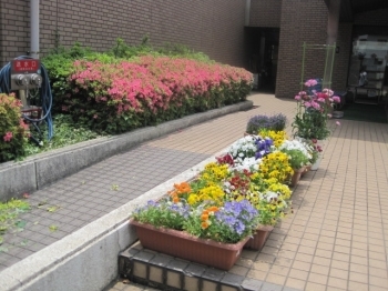 建物の入口付近。<br>きれいに植えられた色とりどりの花。