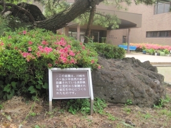長野県富士見町から寄贈された岩石を中心に作られた庭園。