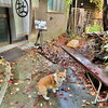 hug「Good morning Otaru」