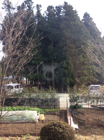 塩原 天気 那須 市 栃木県那須塩原市の天気（3時間毎）