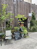 お店の外の写真「宮崎市ランチ巡り♡ 【宮崎市/快眠ドライヘッドスパ脳洗浄/メディセル筋膜ケア/よもぎ蒸し/頭痛・不眠/むくみ解消/肩こり腰痛/セルライト】」