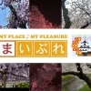 まいぷれ江南市・犬山市・岩倉市・扶桑町・大口町編集部