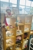 店内にはお客様の作品などがずらりと並んでいます♪「美容室イマジン」